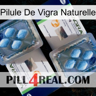 Natural Vigra Pill viagra5